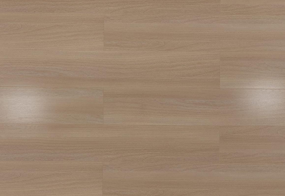 夏威夷香檀(图5)