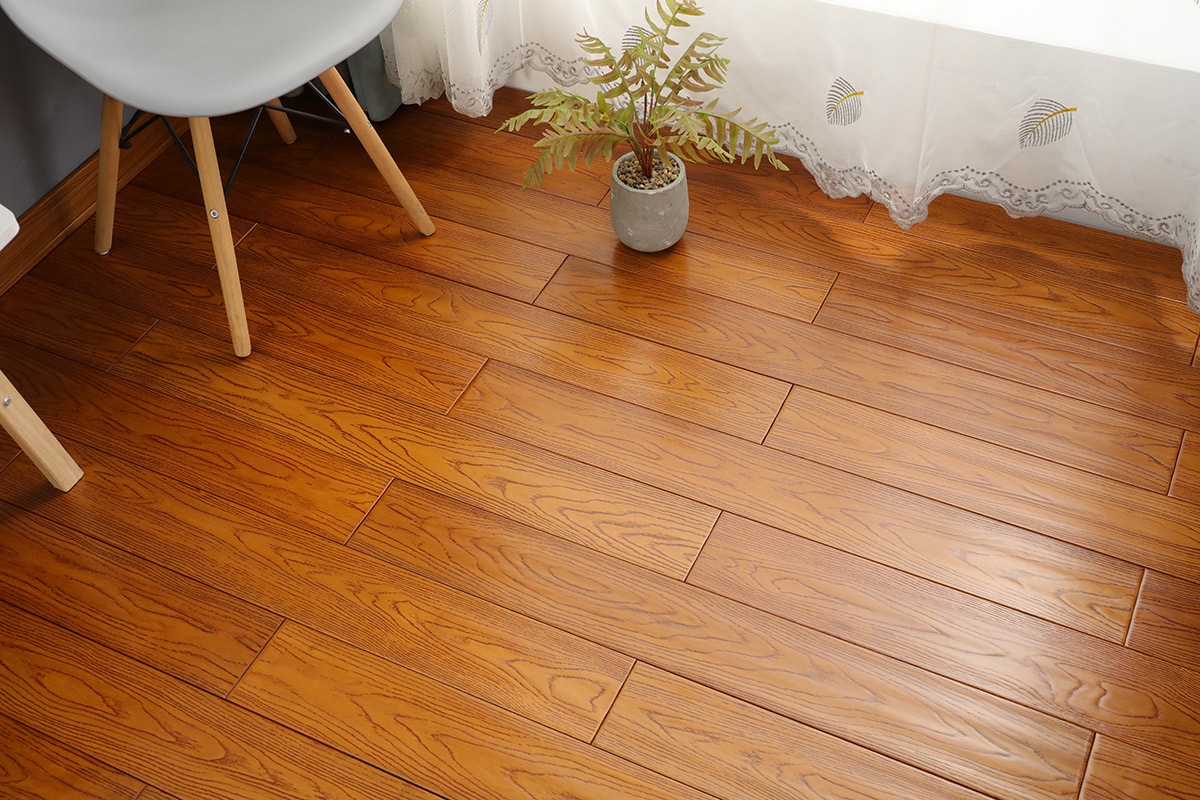 黄金海岸番龙眼-103 (图4)