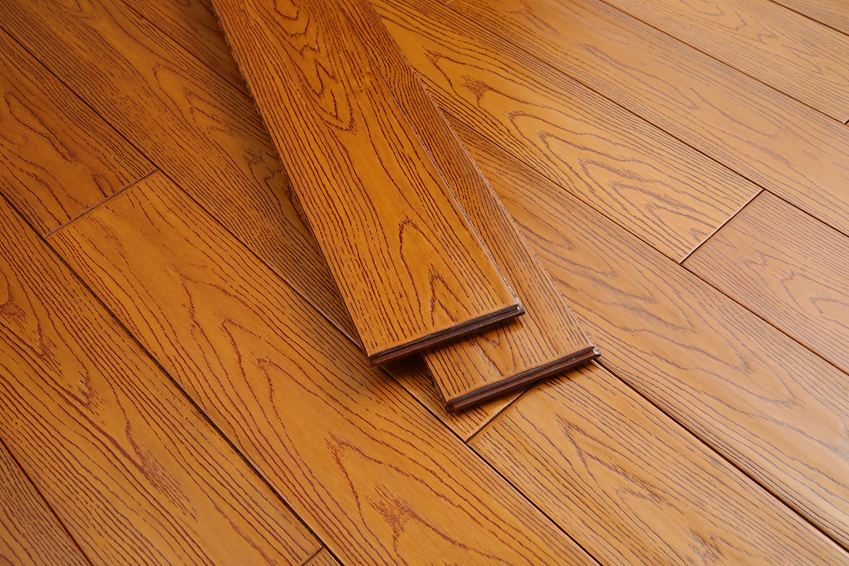 黄金海岸番龙眼-103 (图6)