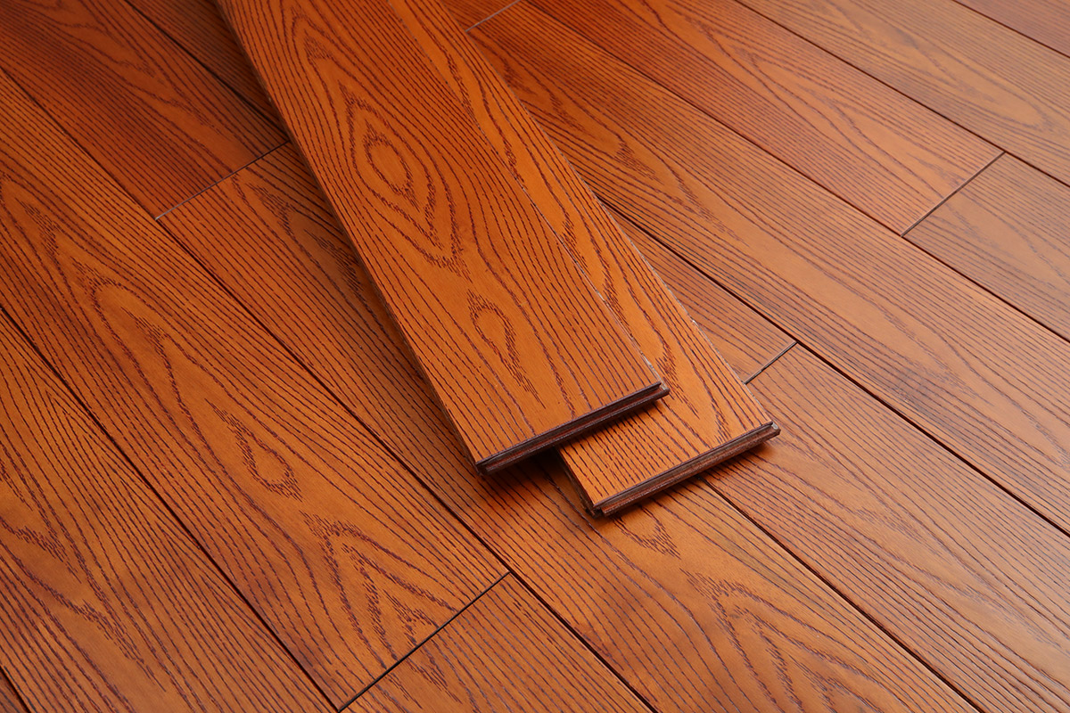 步步高升番龙眼-105(图6)