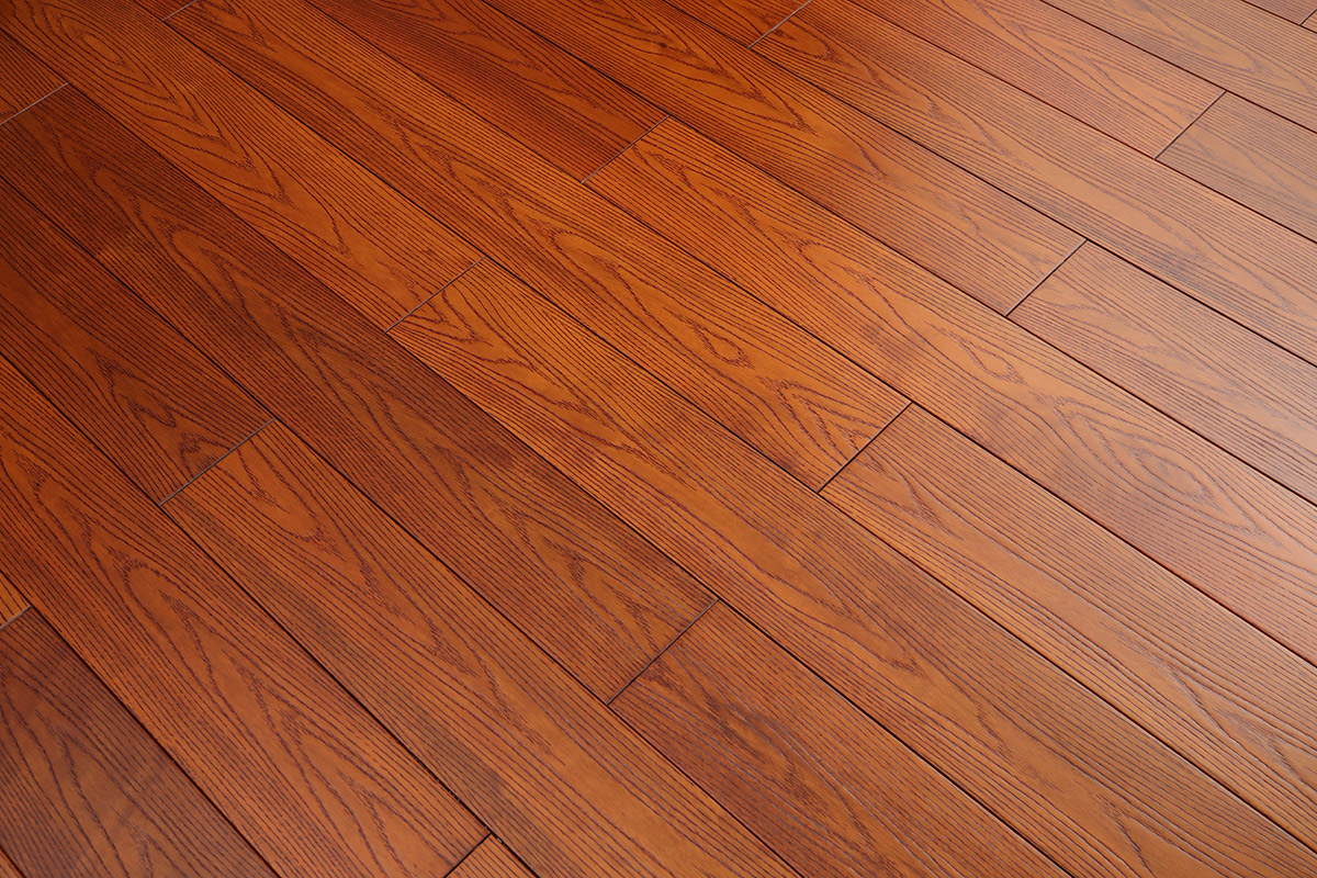 步步高升番龙眼J08(图5)