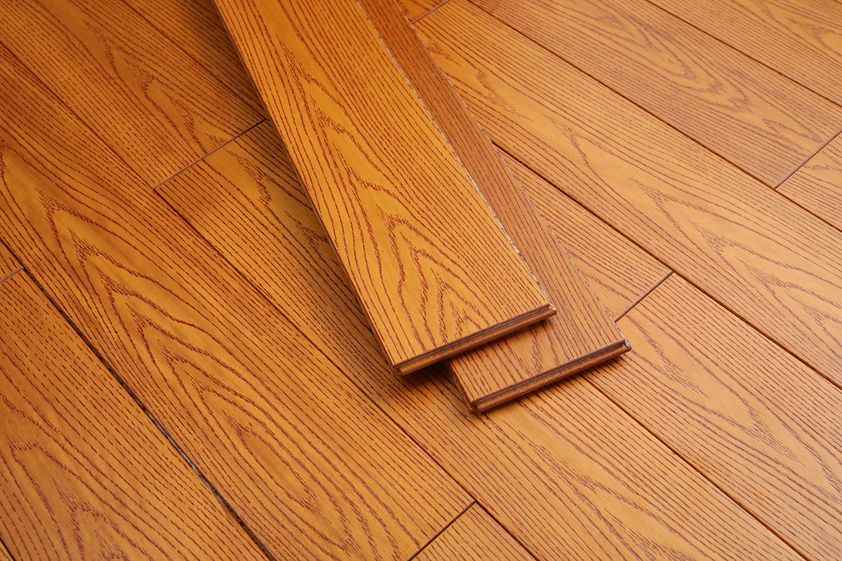 金色麦浪番龙眼101(图7)