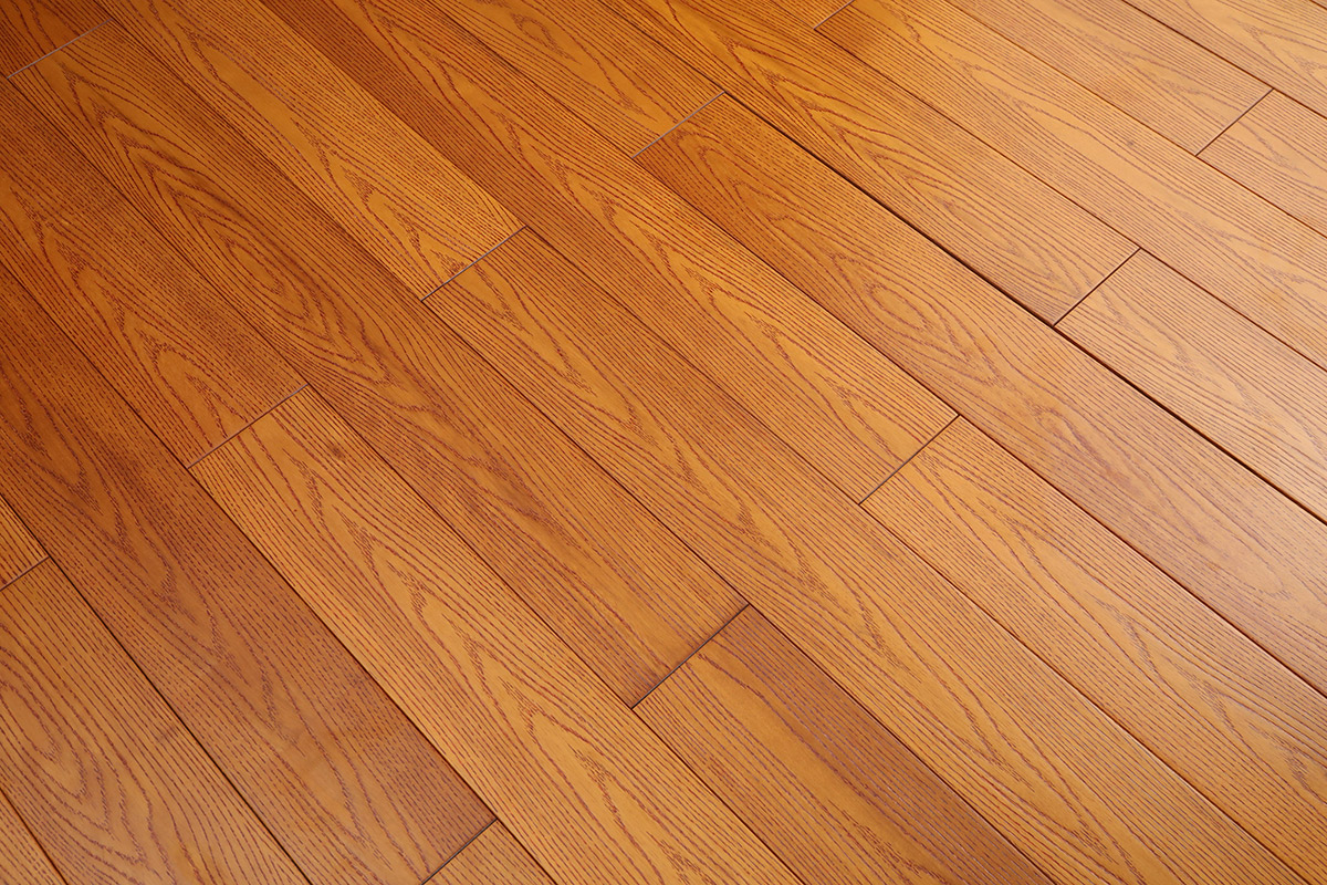 金色麦浪番龙眼101(图6)