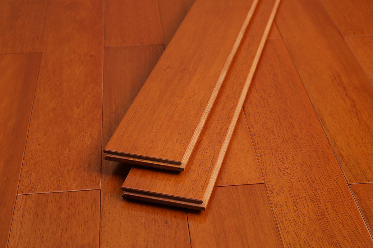 番龙眼本色(图7)