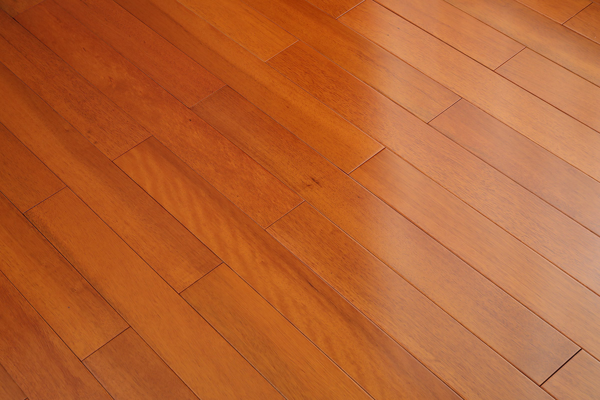 番龙眼本色(图5)