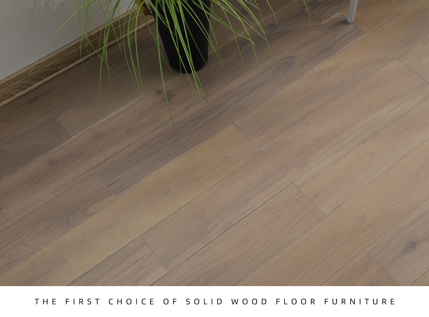 金刚柚木6205(图6) 金刚柚木6205(图6)