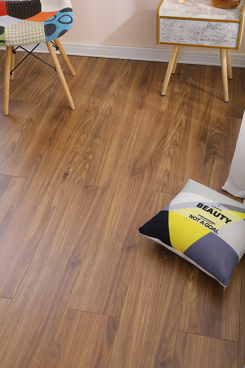 北美黑胡桃(图2)