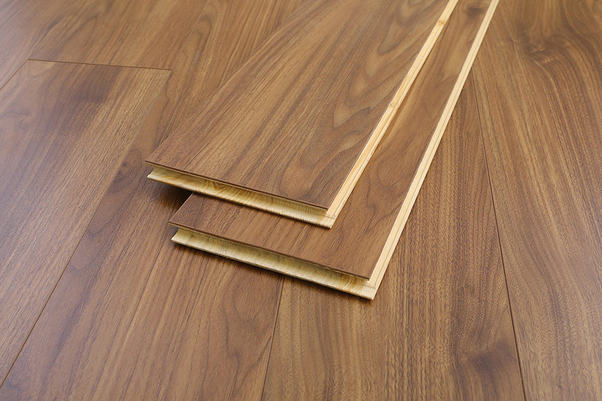 北美黑胡桃(图10)