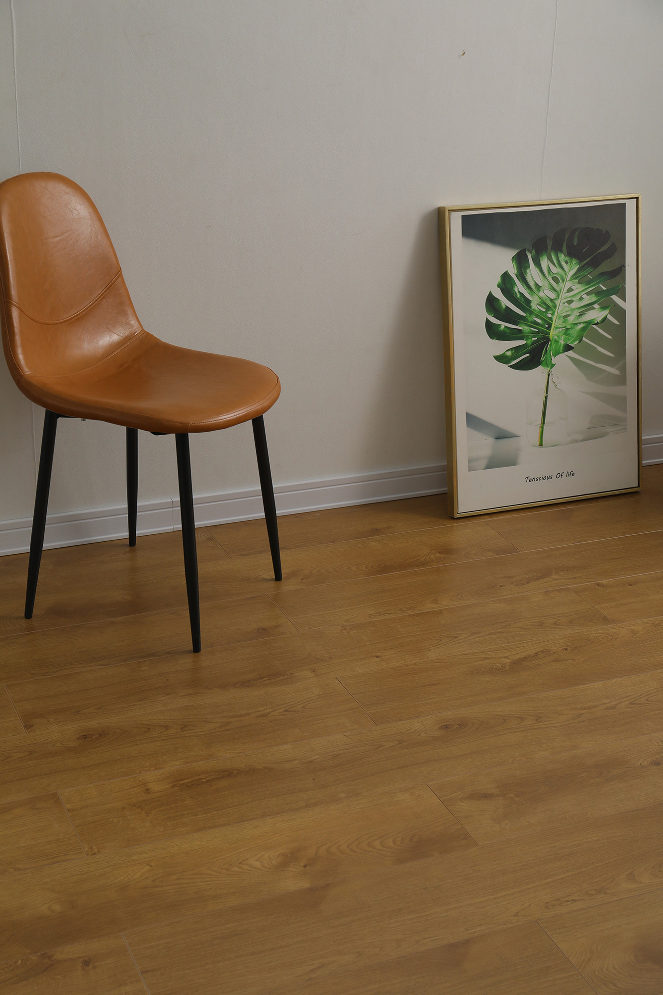 HS7006丛林阳光(图2)