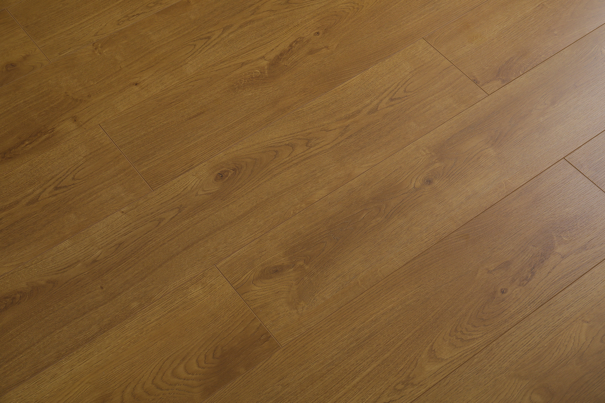 HS7006丛林阳光(图11)