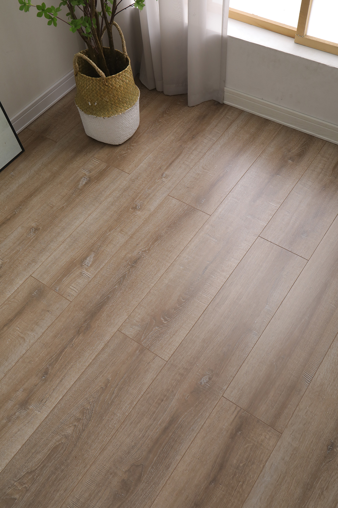 S5004万木争荣(图6)