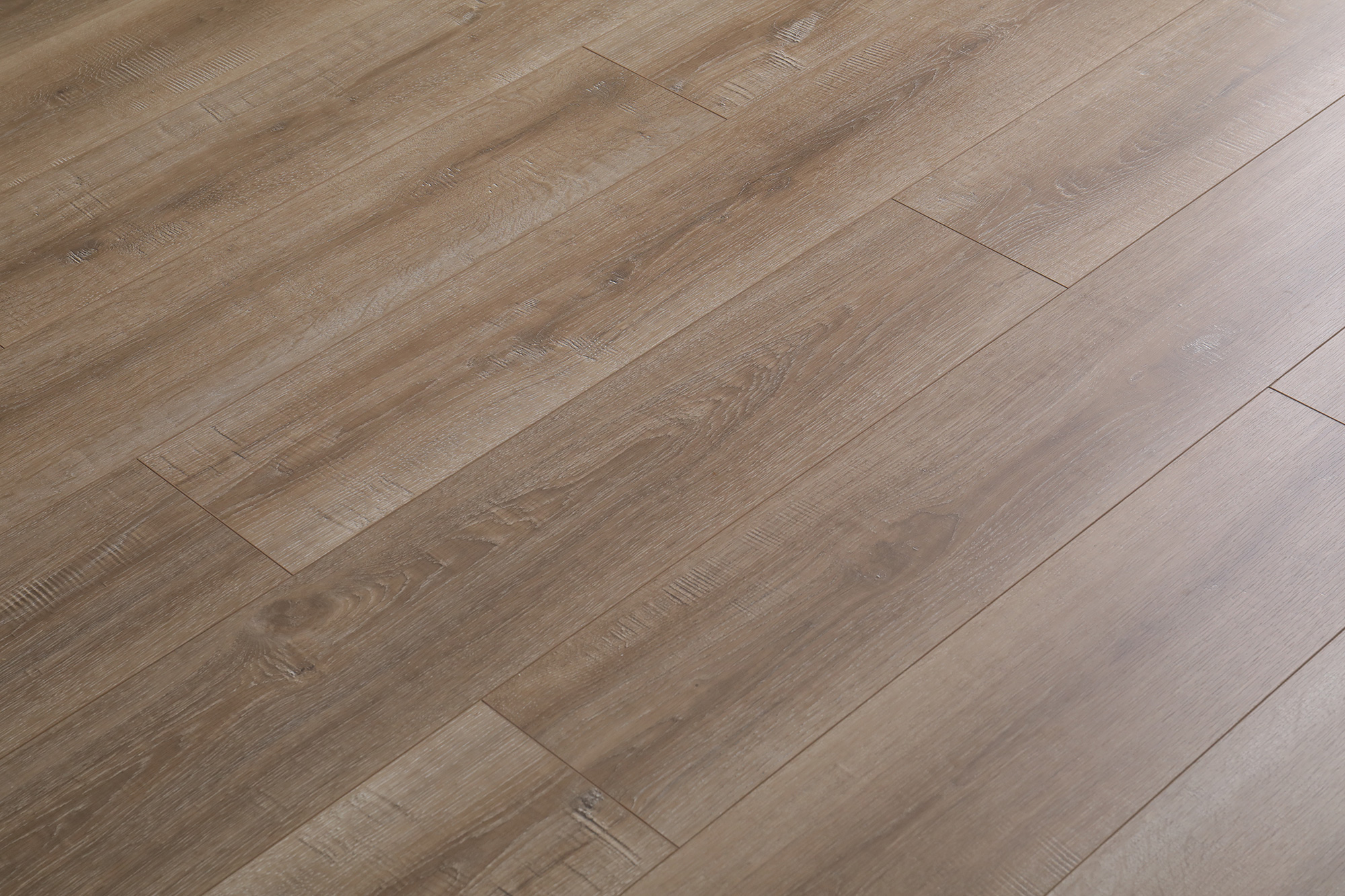 S5004万木争荣(图11)