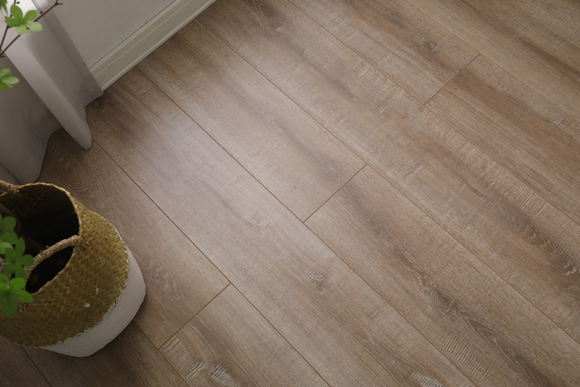 S5004万木争荣(图7)