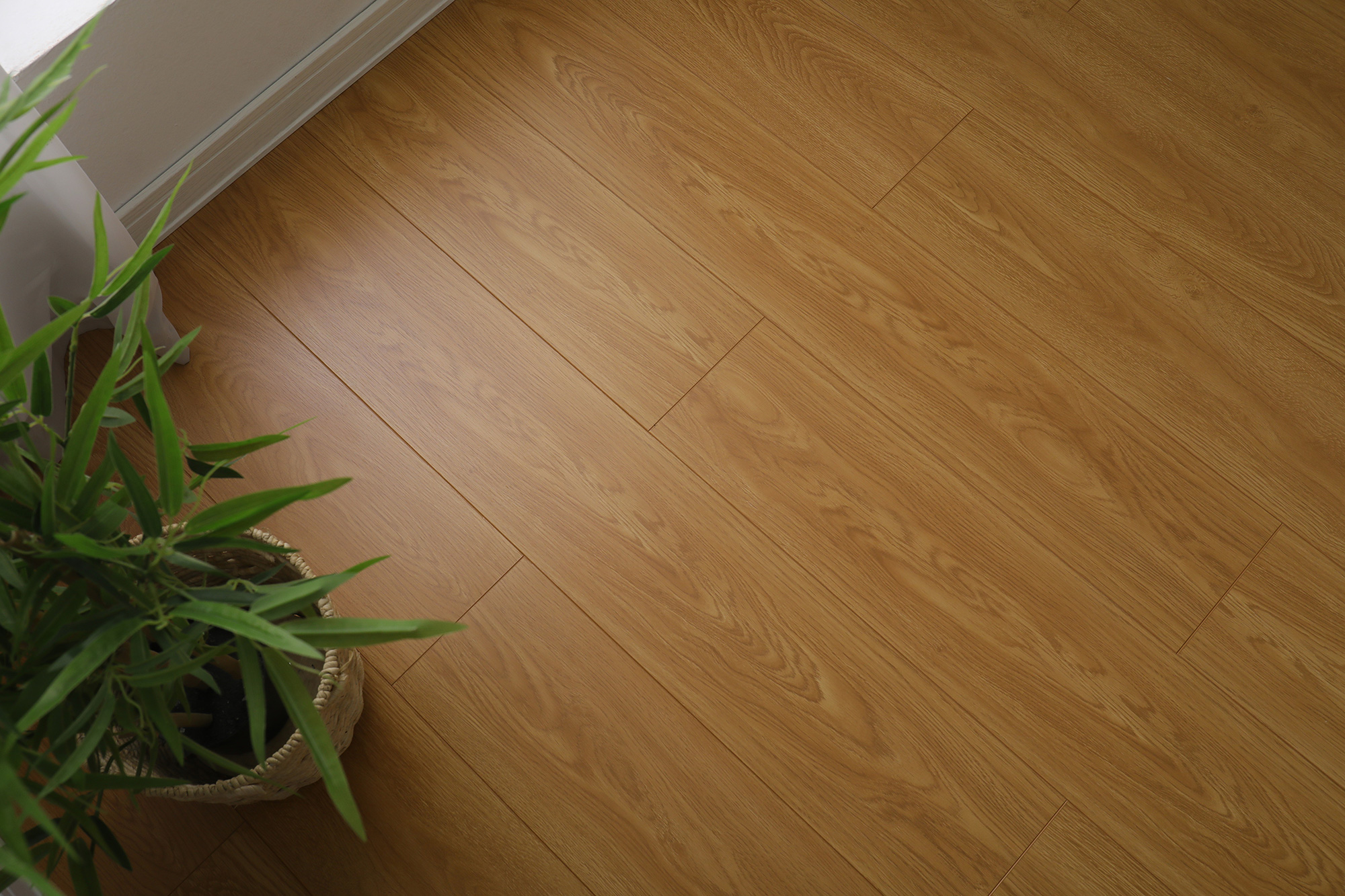 S5007橡木本色(图7)