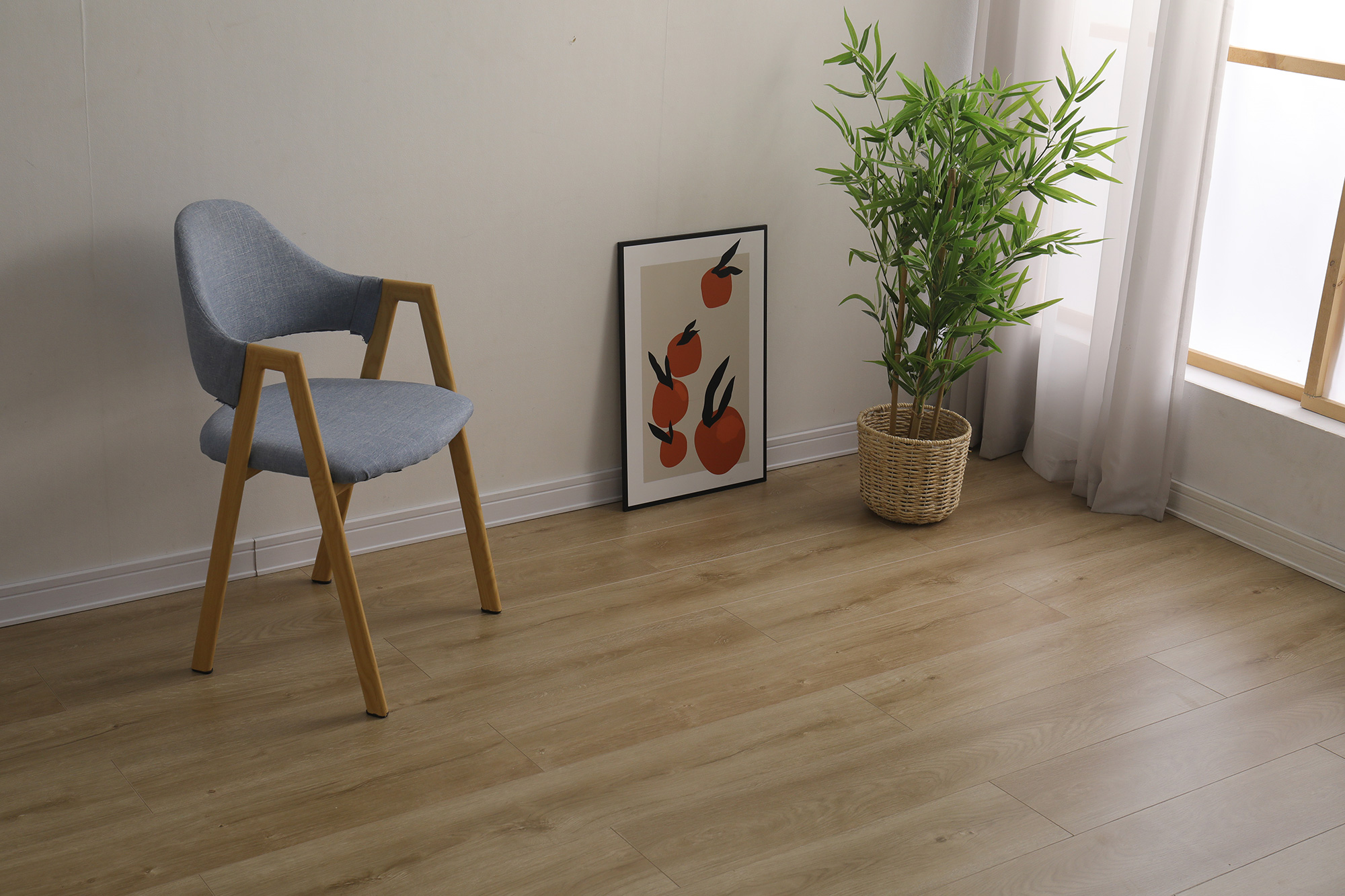 S6002冬韵晨阳(图1)