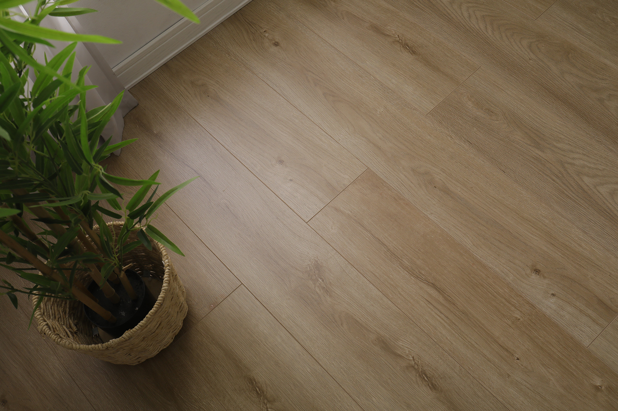 S6002冬韵晨阳(图7)