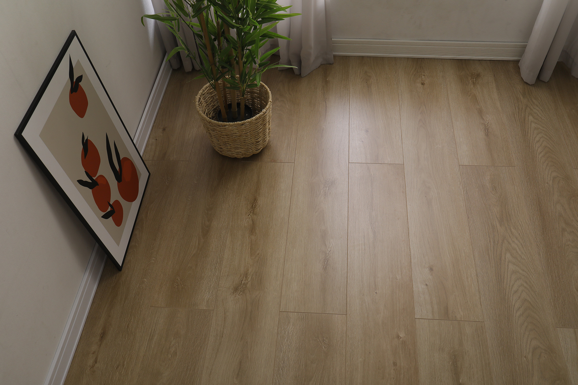 S6002冬韵晨阳(图8)