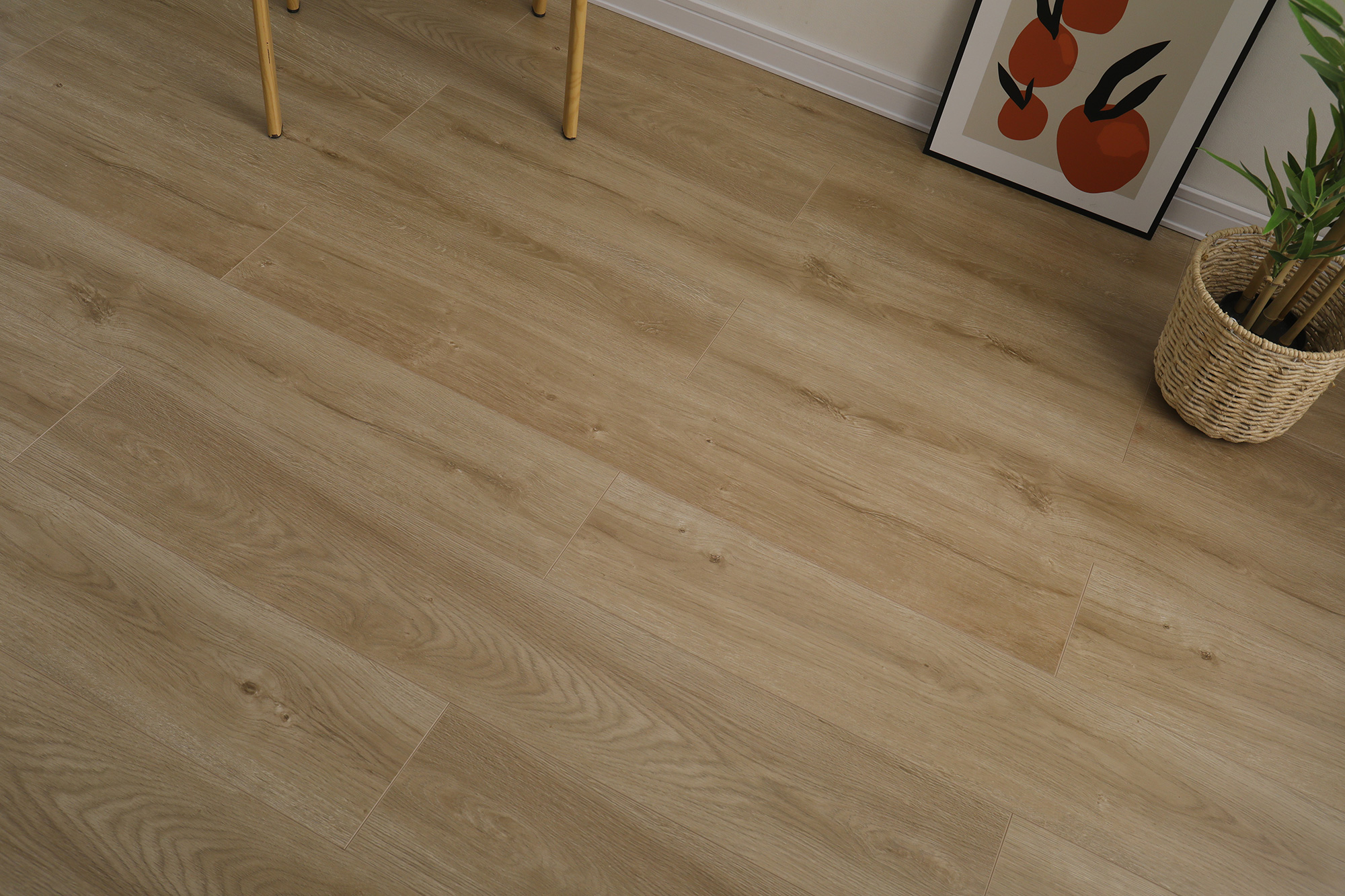 S6002冬韵晨阳(图4)