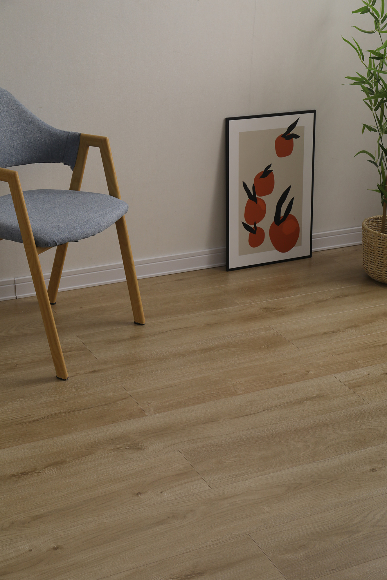 S6002冬韵晨阳(图2)