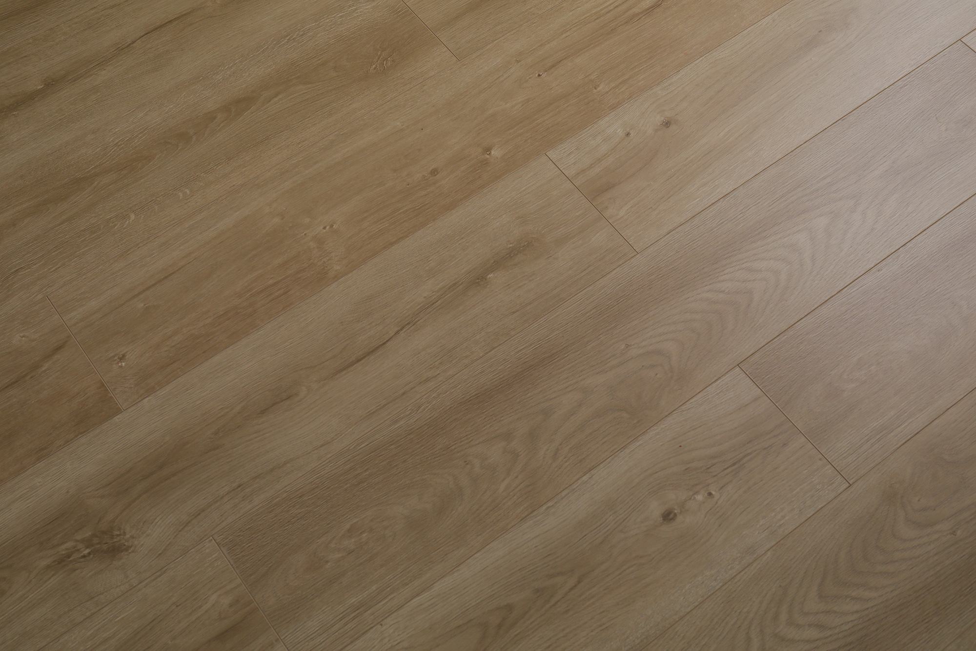 S6002冬韵晨阳(图9)