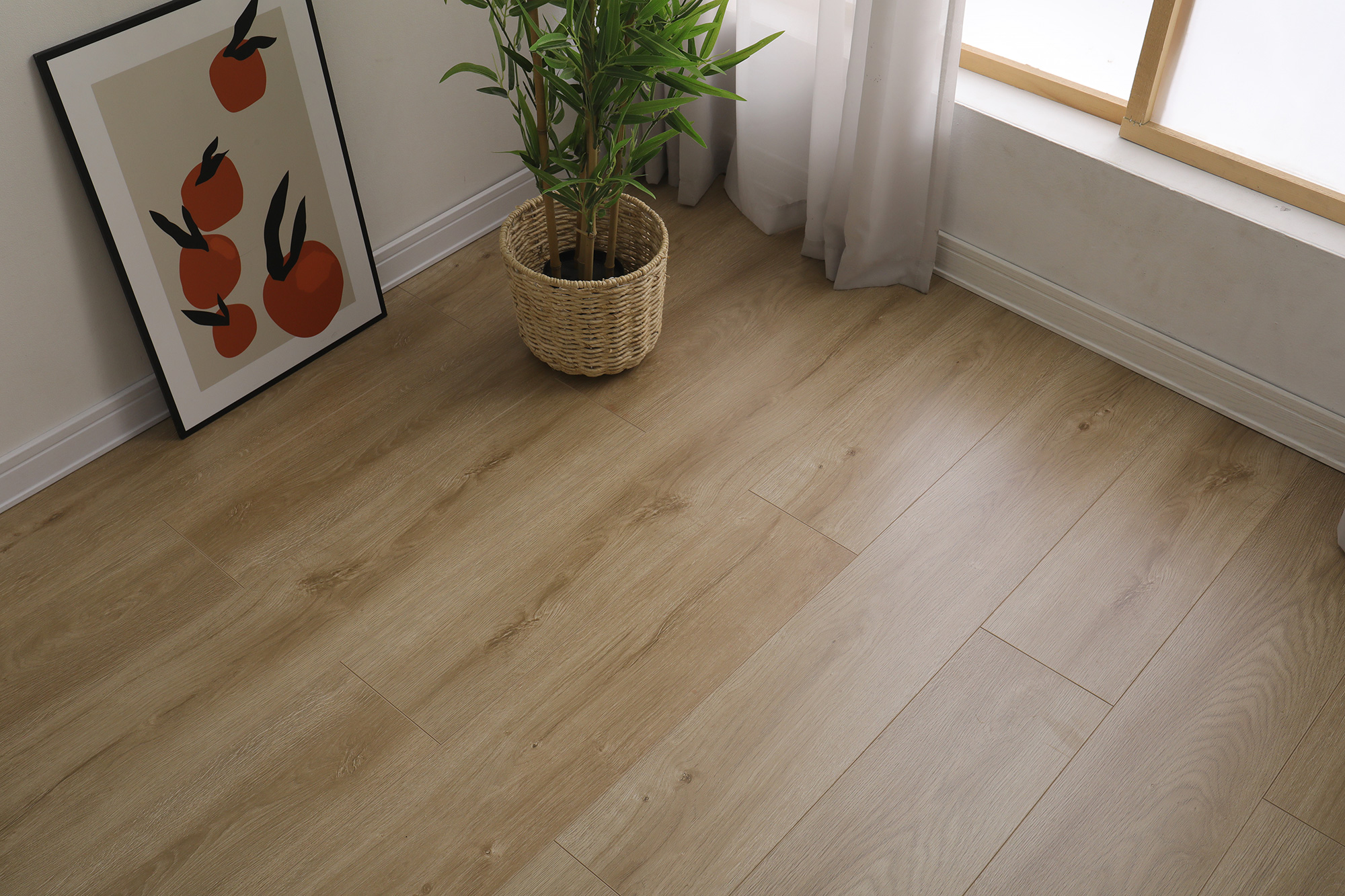 S6002冬韵晨阳(图5)