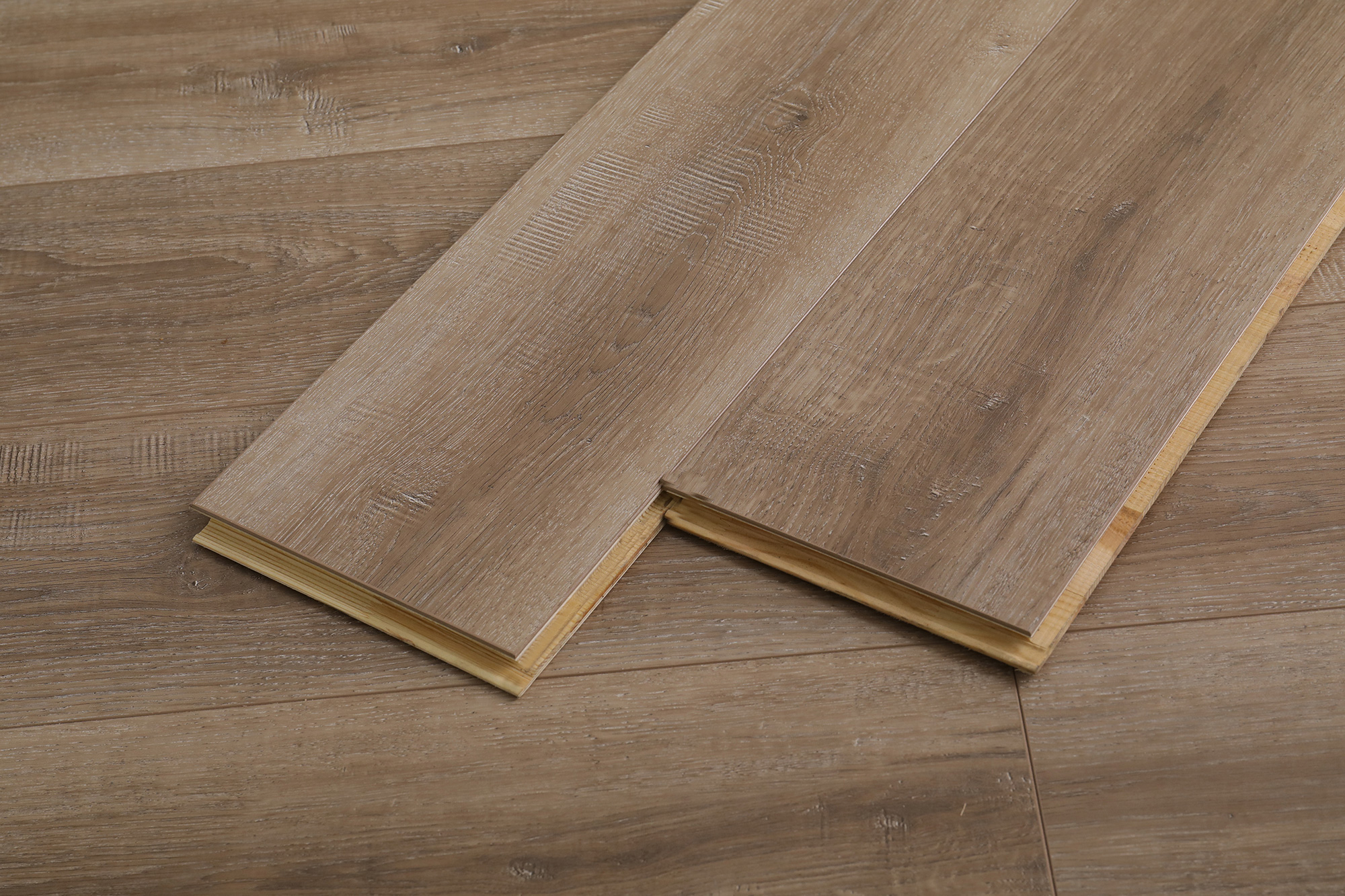 S5004万木争荣(图12)