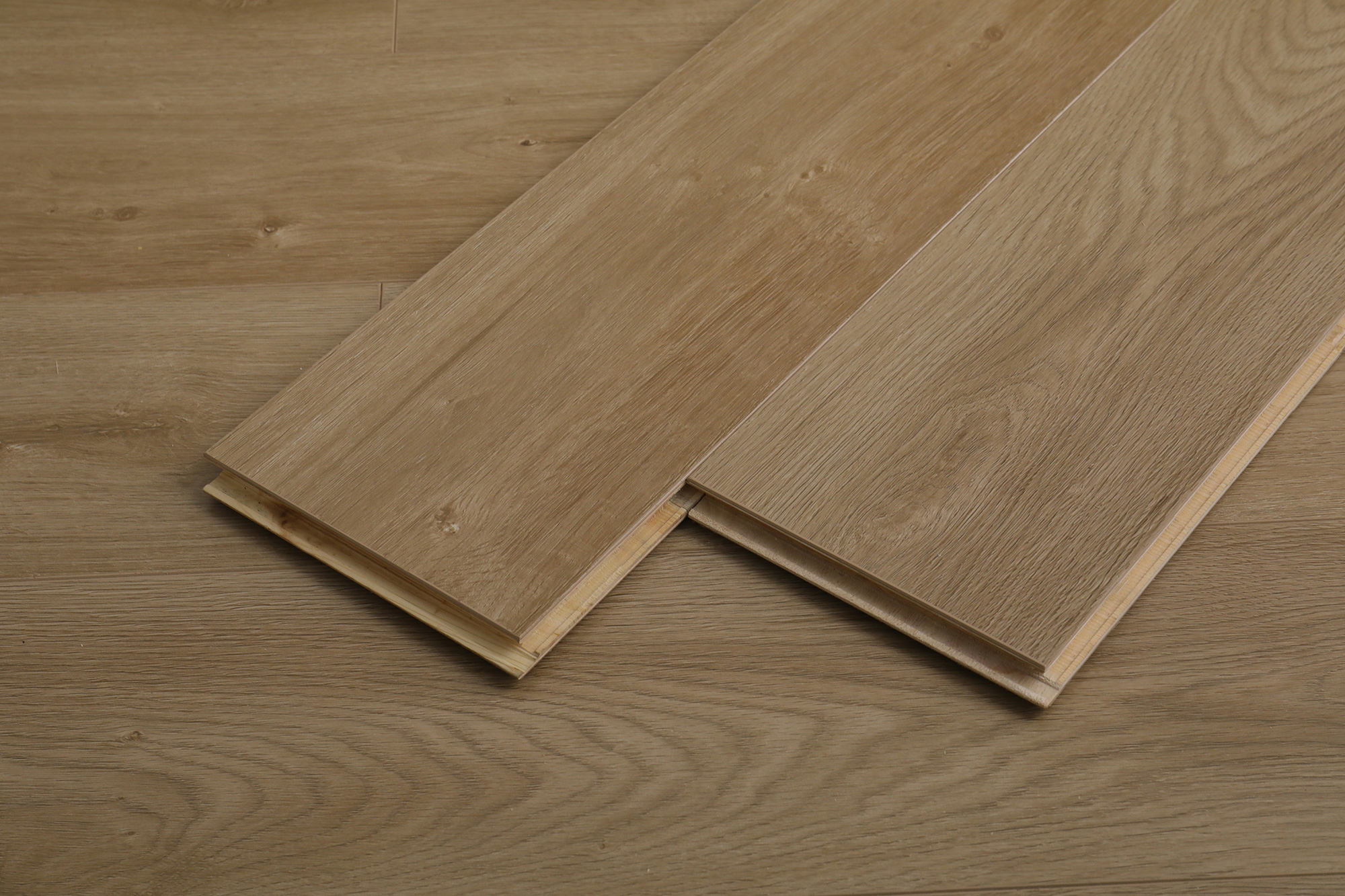 S6002冬韵晨阳(图10)