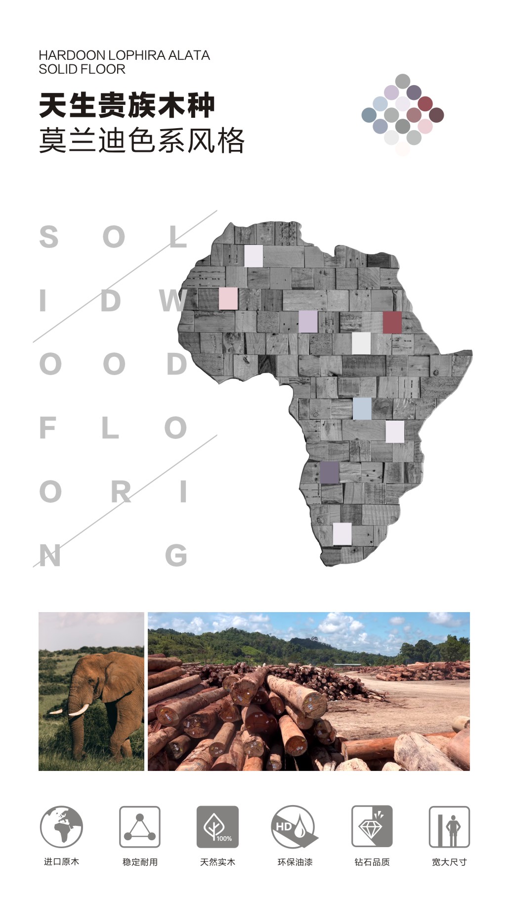 MSL0731未来漫步(图4)